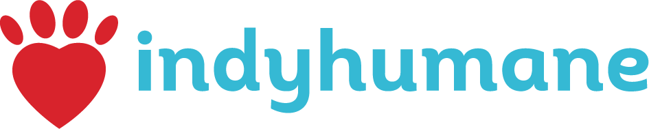 Bookends Financial Planning|Giving Back